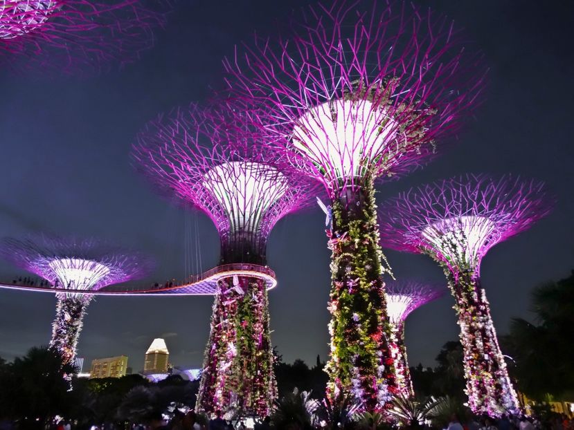  - 09 - Singapore - Orașul Leilor