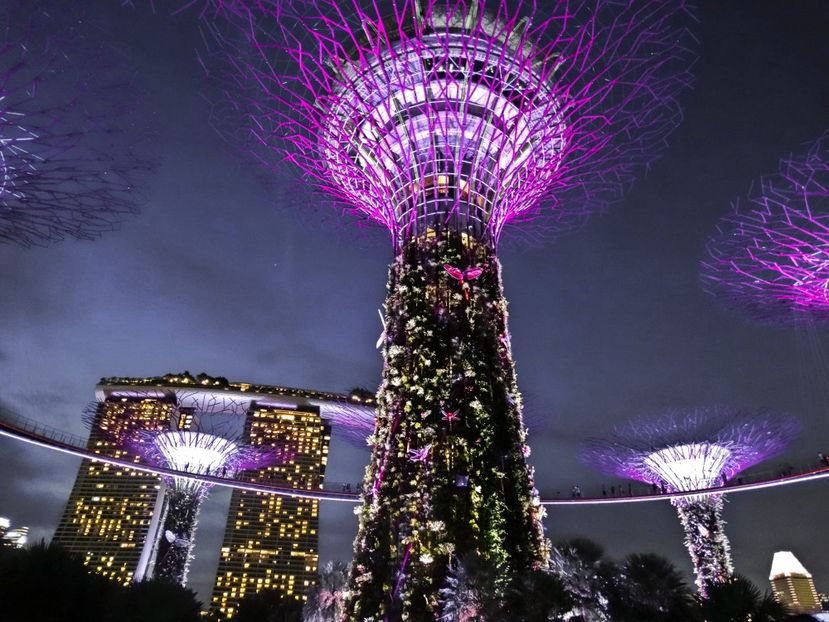  - 09 - Singapore - Orașul Leilor