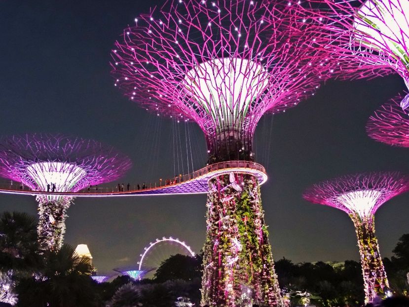  - 09 - Singapore - Orașul Leilor