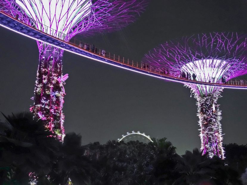  - 09 - Singapore - Orașul Leilor