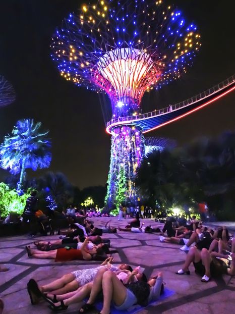  - 09 - Singapore - Orașul Leilor