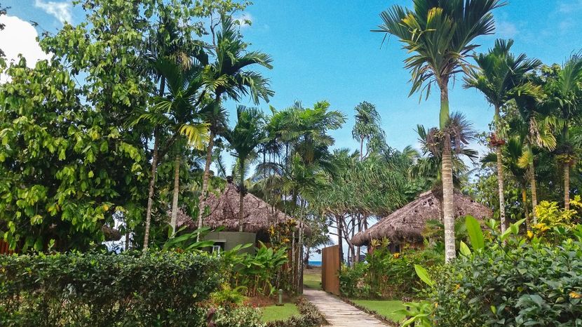  - 10 - Fiji - Viti levu