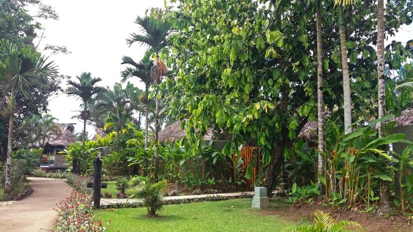  - 10 - Fiji - Viti levu