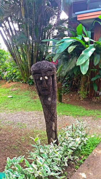  - 10 - Fiji - Viti levu