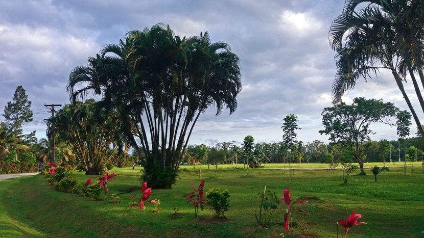  - 10 - Fiji - Viti levu
