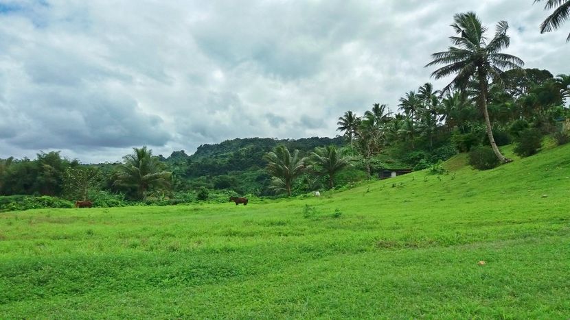  - 10 - Fiji - Viti levu