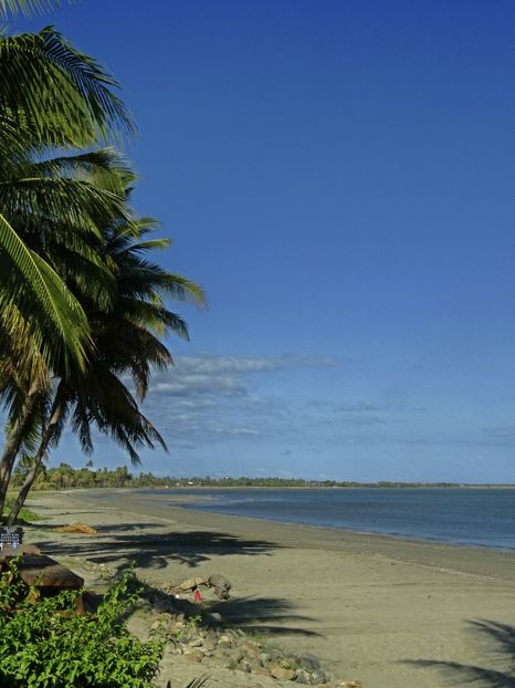 Nadi - 10 - Fiji - Viti levu