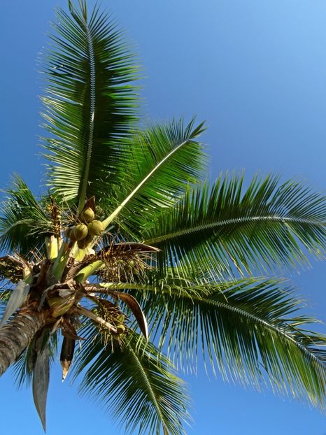  - 10 - Fiji - Viti levu
