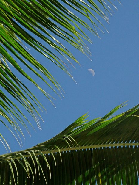  - 10 - Fiji - Viti levu