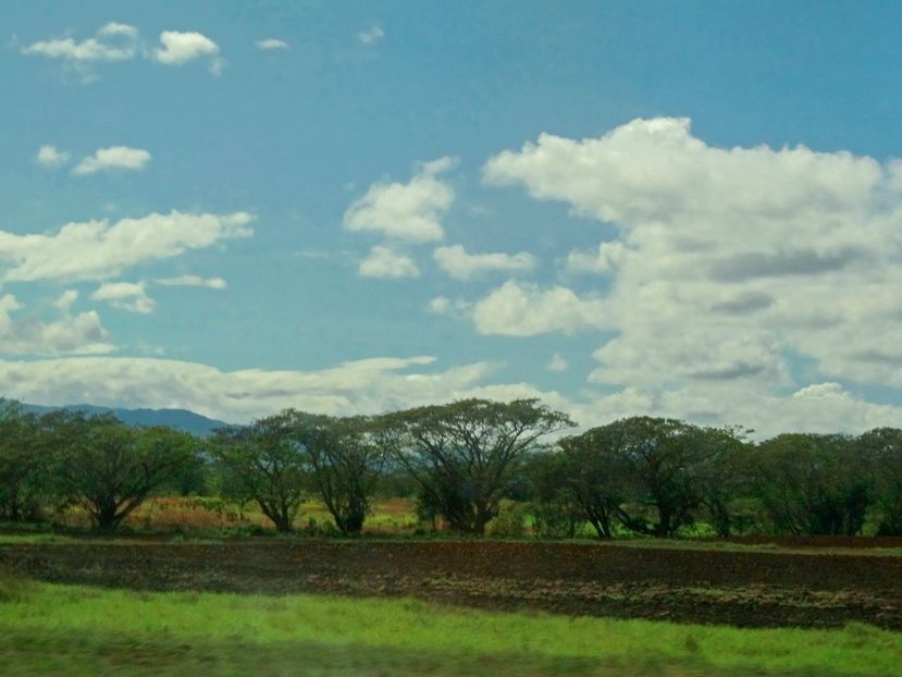  - 10 - Fiji - Viti levu