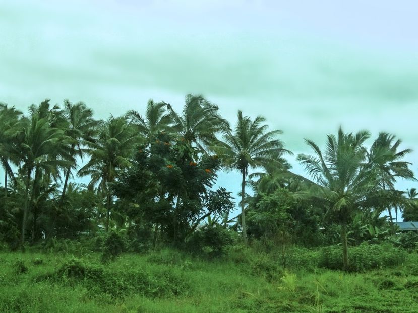  - 10 - Fiji - Viti levu