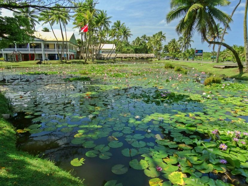 Pacific Harbor - 10 - Fiji - Viti levu