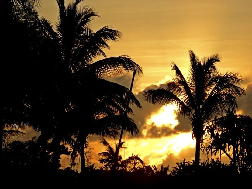  - 10 - Fiji - Viti levu