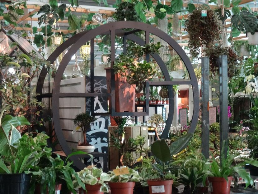expo 4 - 2019 februarie - Trentham Garden Center Stoke on Trent