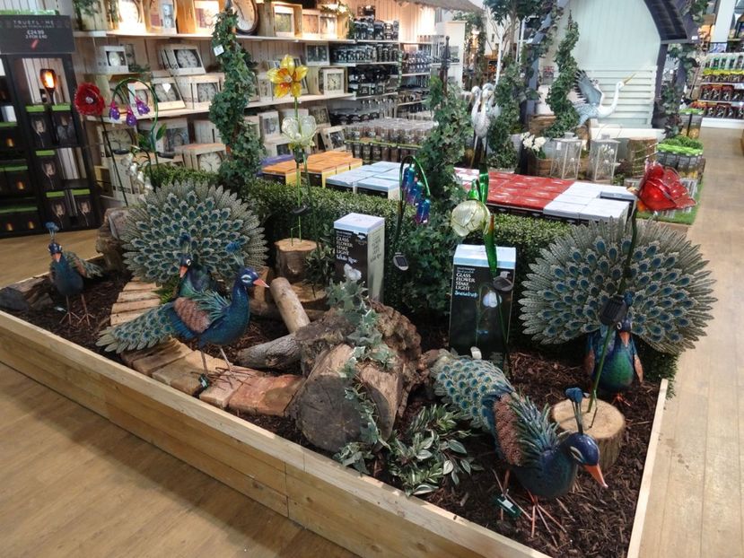 ornamente gradina 2 - 2019 februarie - Trentham Garden Center Stoke on Trent