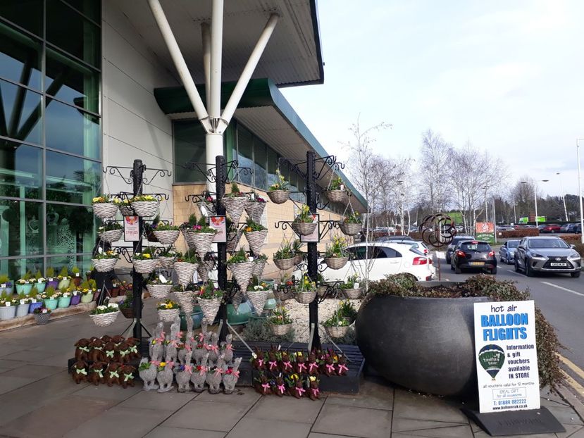aranjamente - 2019 februarie - Trentham Garden Center Stoke on Trent