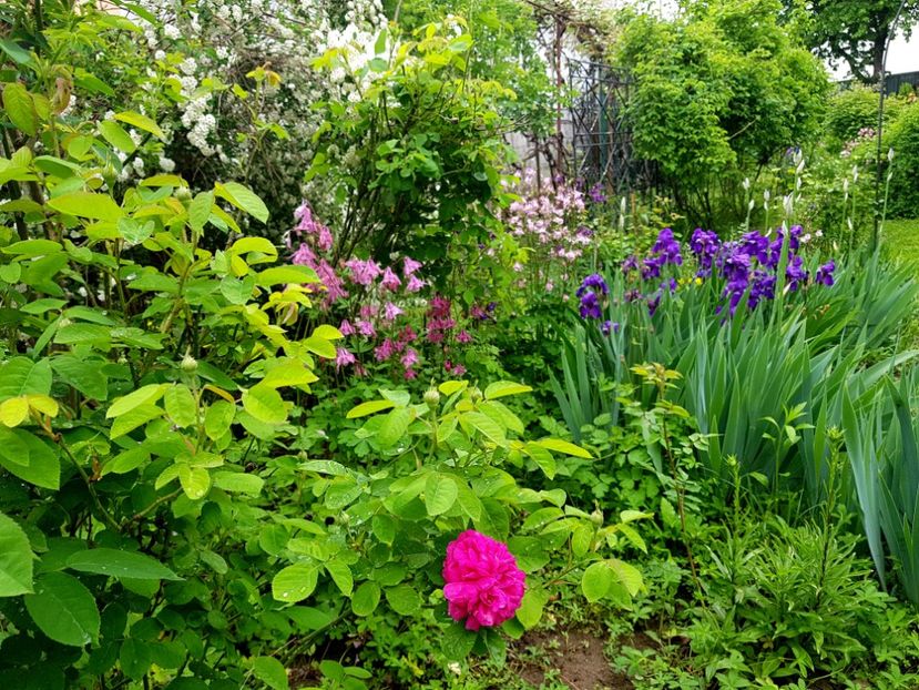  - Pridvor si Idilic garden