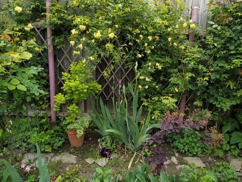  - MAI 2019- MAI 2020