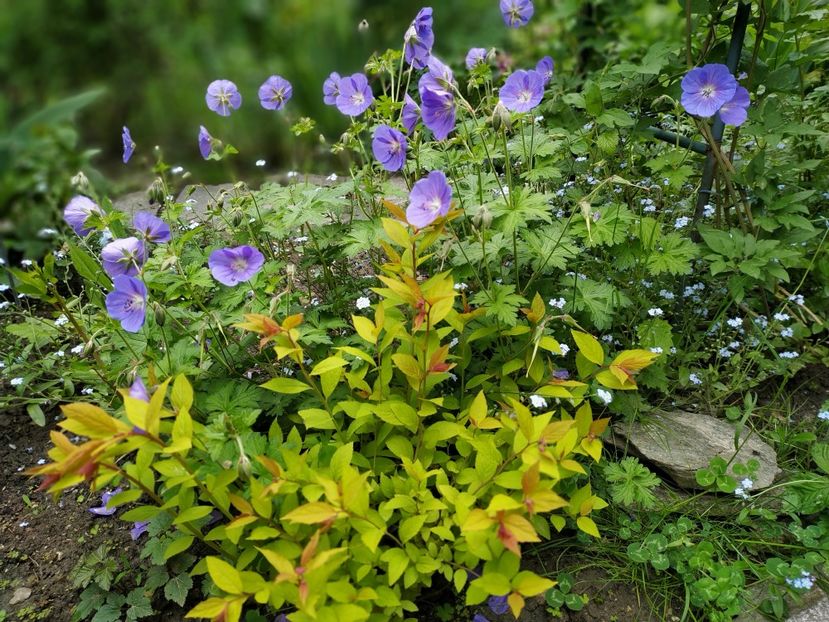  - MAI 2019- MAI 2020