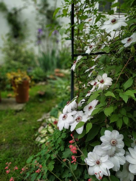  - MAI 2019- MAI 2020