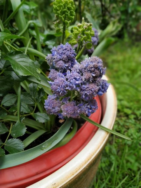  - MAI 2019- MAI 2020