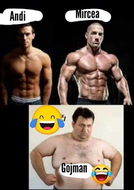  - Sezonul 5 insula iubirii - memes 1