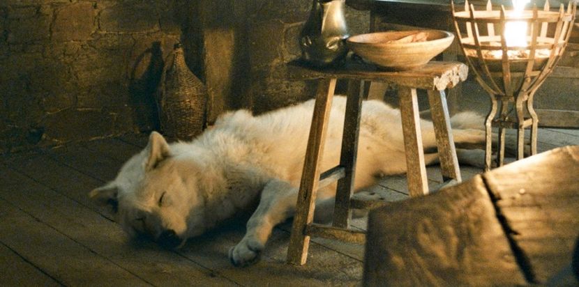 Ghost - 30 Days with Celebrities - Challenge