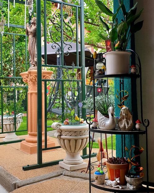  - Florile din gradina casei-2012-2013