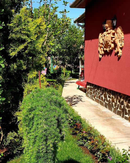  - Florile din gradina casei-2012-2013