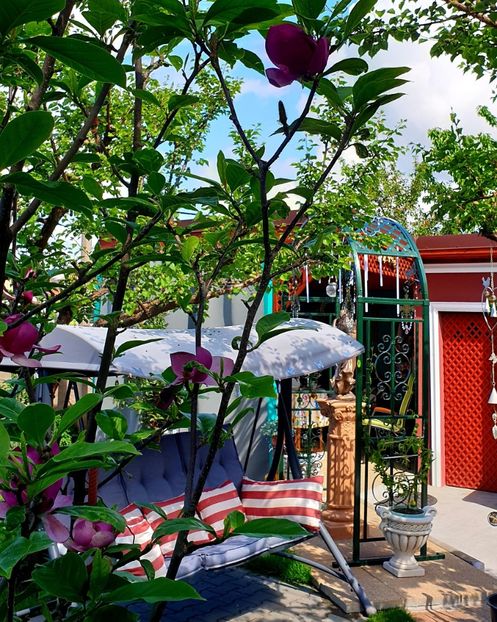  - Florile din gradina casei-2012-2013