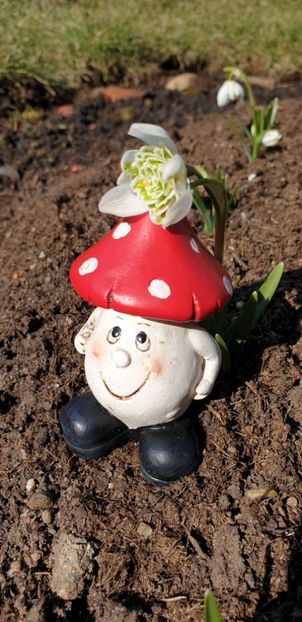  - Florile din gradina casei-2012-2013