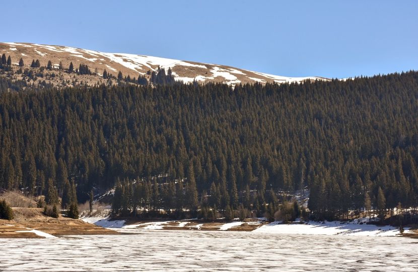  - 08 - Sinaia - Dichiu - Bolboci - Cheile Tătarului - aprilie 2019