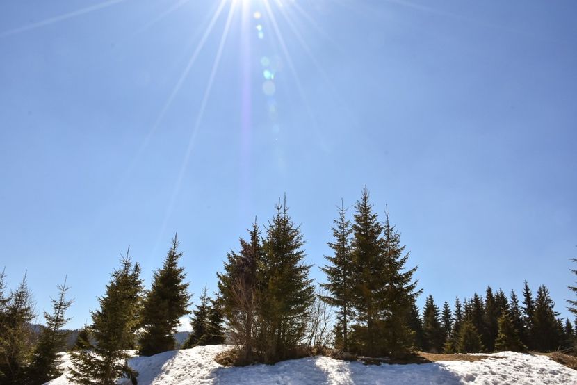  - 08 - Sinaia - Dichiu - Bolboci - Cheile Tătarului - aprilie 2019