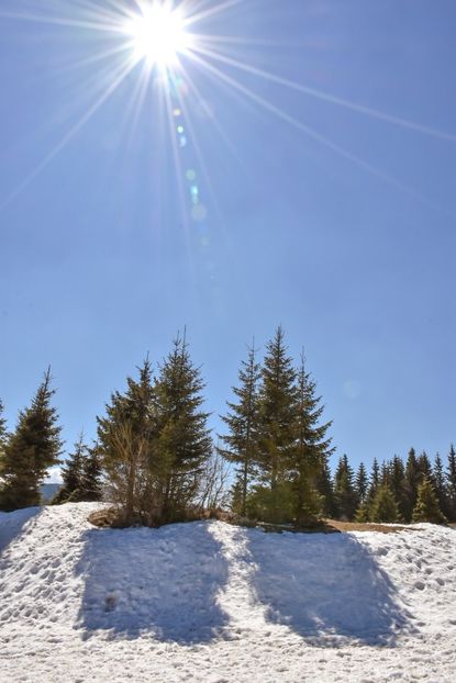  - 08 - Sinaia - Dichiu - Bolboci - Cheile Tătarului - aprilie 2019