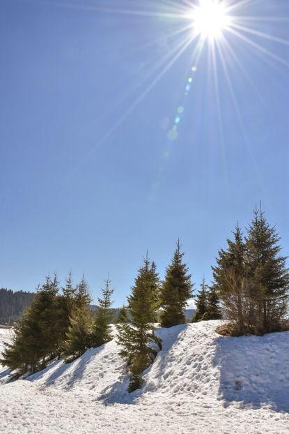  - 08 - Sinaia - Dichiu - Bolboci - Cheile Tătarului - aprilie 2019