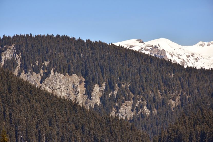  - 08 - Sinaia - Dichiu - Bolboci - Cheile Tătarului - aprilie 2019