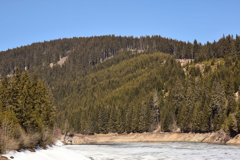  - 08 - Sinaia - Dichiu - Bolboci - Cheile Tătarului - aprilie 2019