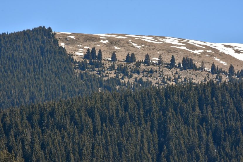  - 08 - Sinaia - Dichiu - Bolboci - Cheile Tătarului - aprilie 2019