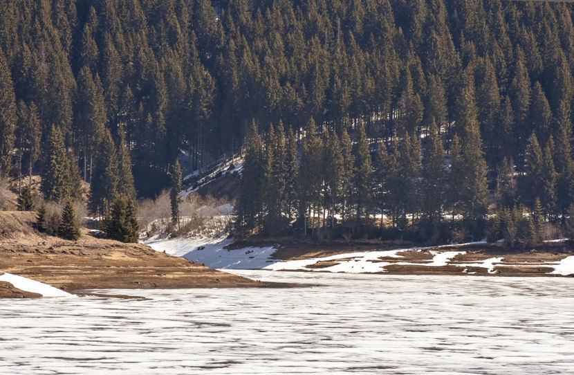 L. Bolboci - 08 - Sinaia - Dichiu - Bolboci - Cheile Tătarului - aprilie 2019
