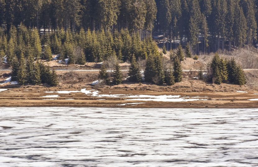  - 08 - Sinaia - Dichiu - Bolboci - Cheile Tătarului - aprilie 2019