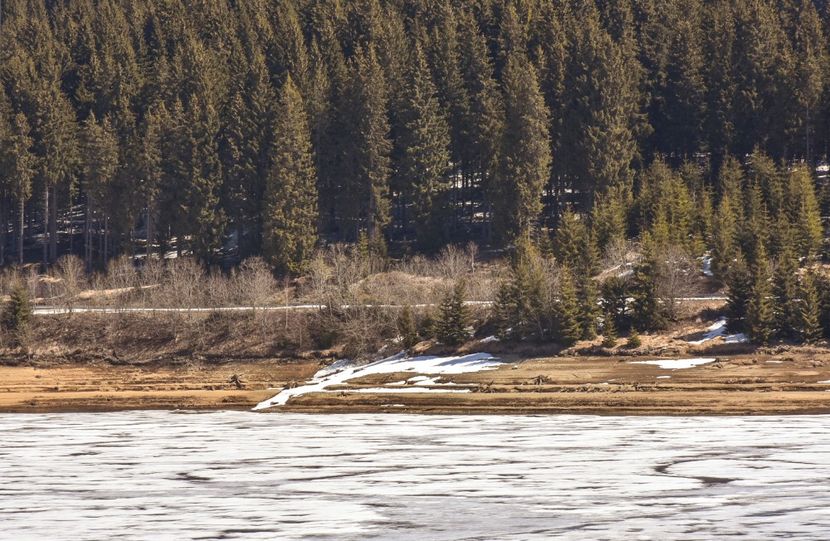  - 08 - Sinaia - Dichiu - Bolboci - Cheile Tătarului - aprilie 2019