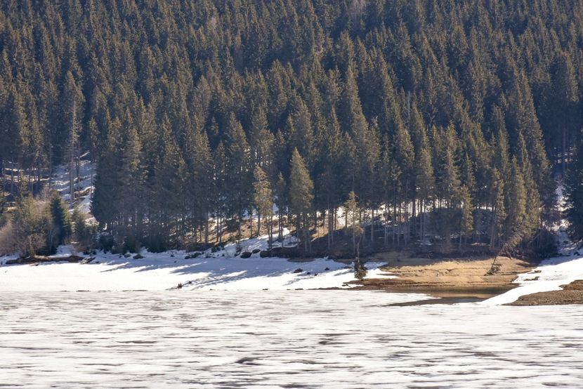  - 08 - Sinaia - Dichiu - Bolboci - Cheile Tătarului - aprilie 2019