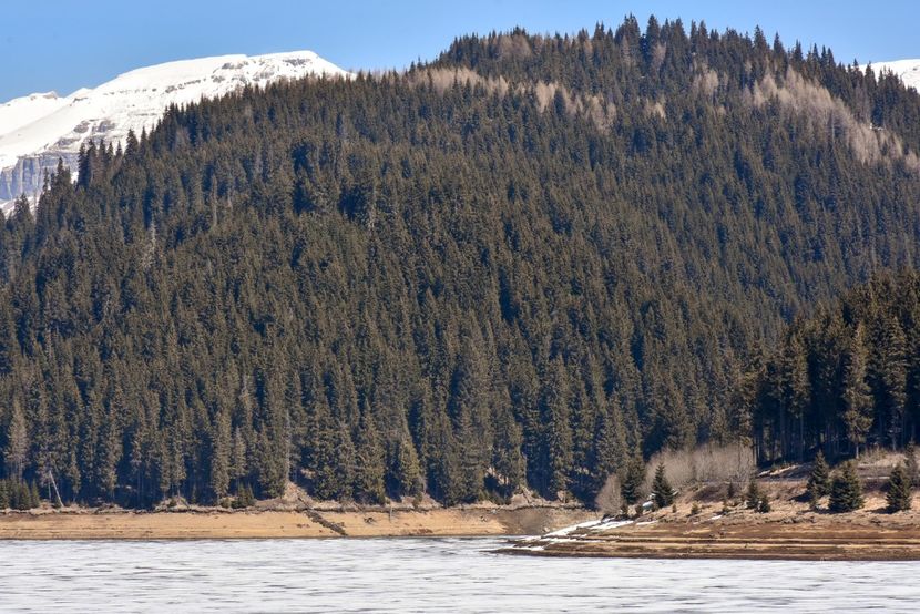  - 08 - Sinaia - Dichiu - Bolboci - Cheile Tătarului - aprilie 2019