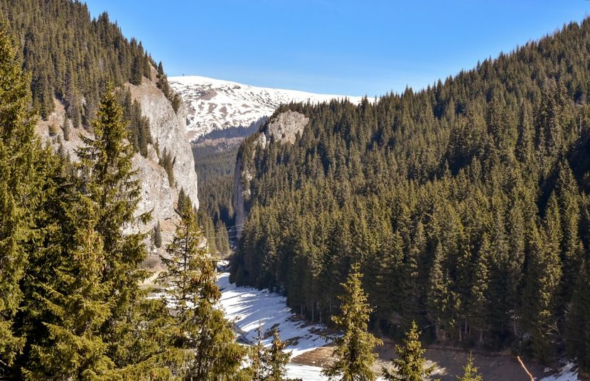Cheile Tătarului - 08 - Sinaia - Dichiu - Bolboci - Cheile Tătarului - aprilie 2019