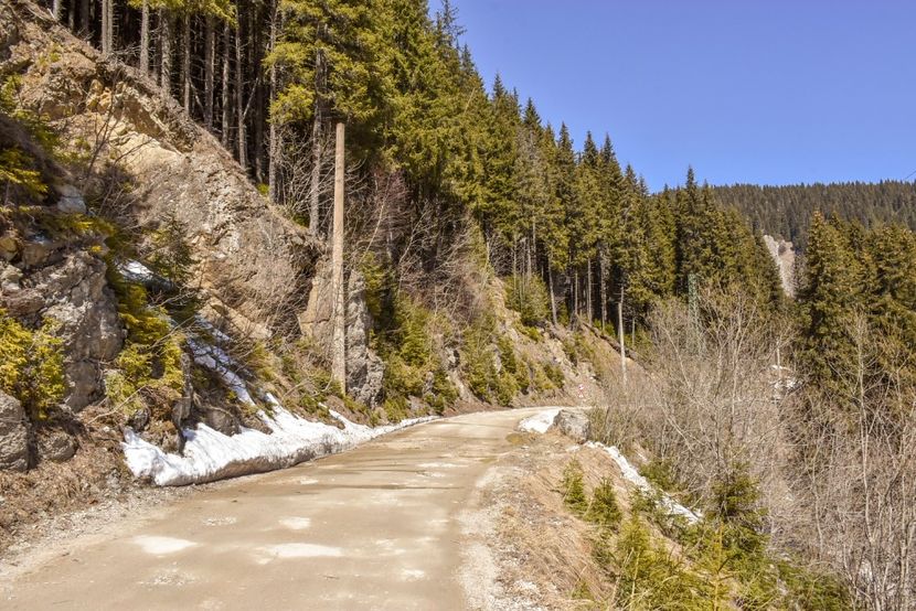 Cheile Tătarului - 08 - Sinaia - Dichiu - Bolboci - Cheile Tătarului - aprilie 2019