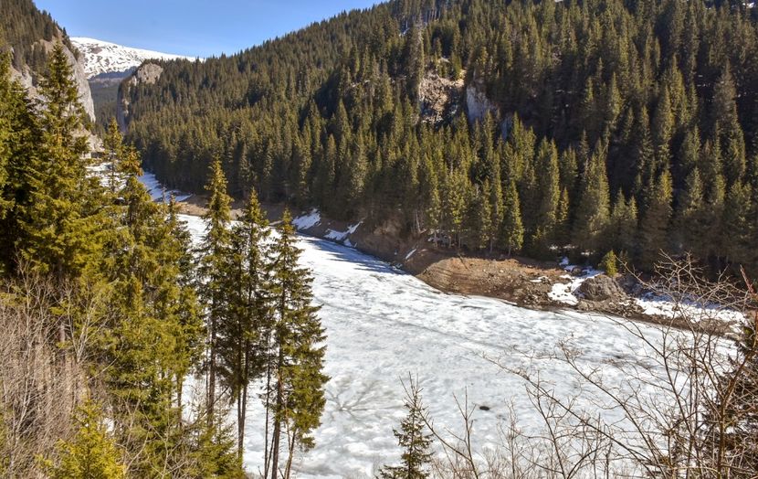  - 08 - Sinaia - Dichiu - Bolboci - Cheile Tătarului - aprilie 2019