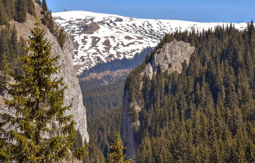  - 08 - Sinaia - Dichiu - Bolboci - Cheile Tătarului - aprilie 2019