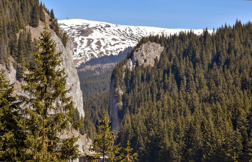  - 08 - Sinaia - Dichiu - Bolboci - Cheile Tătarului - aprilie 2019
