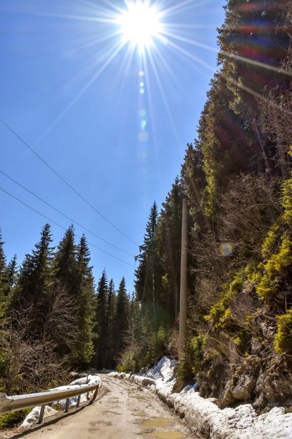  - 08 - Sinaia - Dichiu - Bolboci - Cheile Tătarului - aprilie 2019