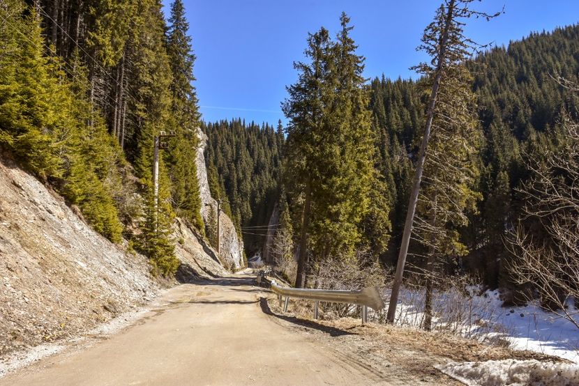  - 08 - Sinaia - Dichiu - Bolboci - Cheile Tătarului - aprilie 2019